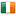 Flagge von Irland