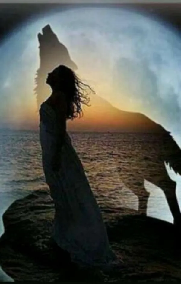 Sofia Jazmin Avatar Bg