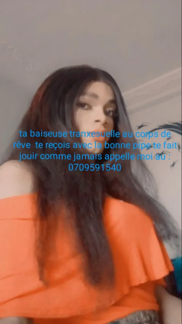La Belle Trans Avatar Bg