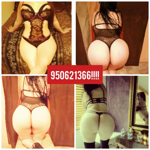 Cony Avatar Bg