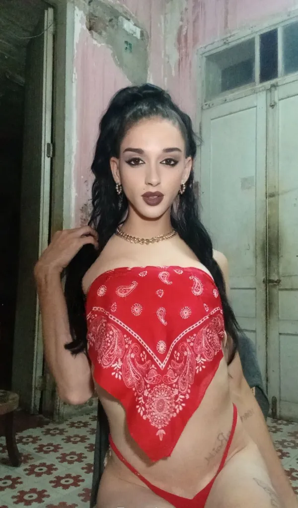 Karol Avatar Bg