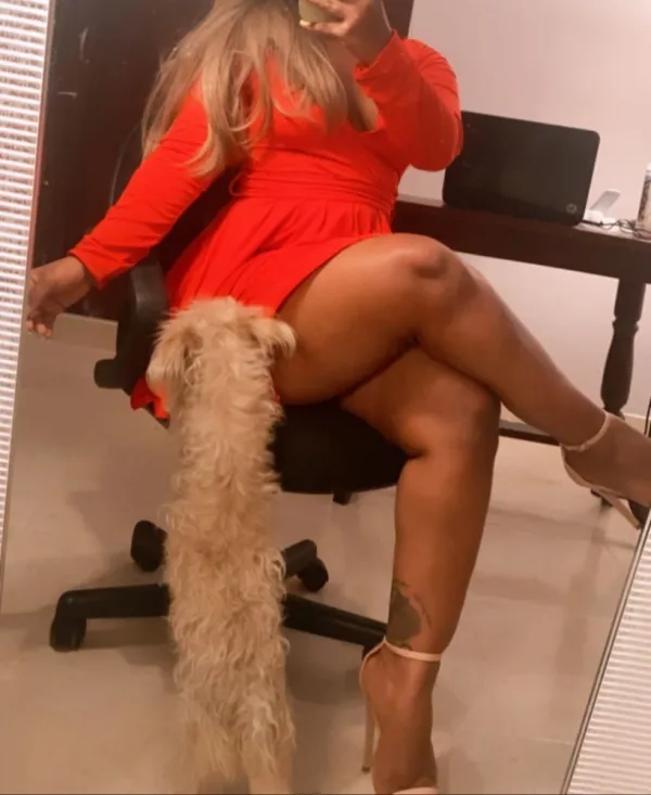 VANESSA Avatar Bg