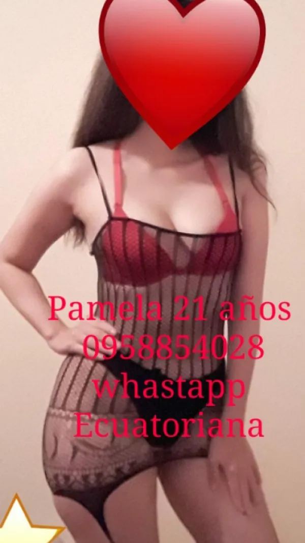 Spaquito Avatar Bg