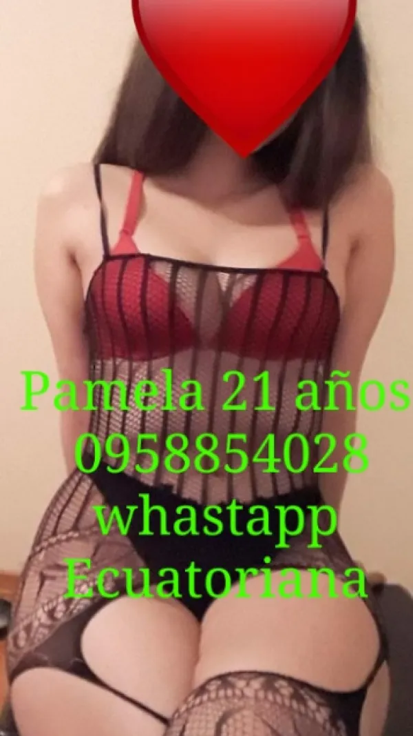 Spaquito Avatar Bg