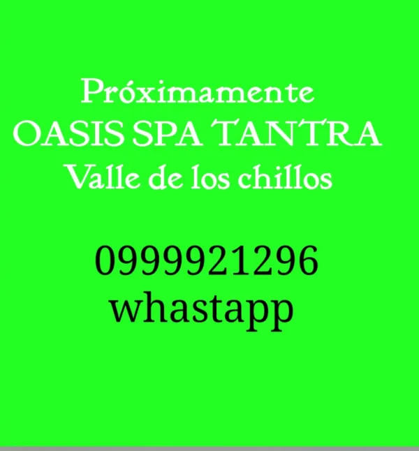 Spaquito Avatar Bg