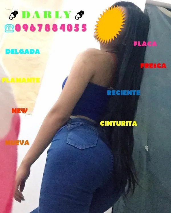 DARLY Avatar Bg