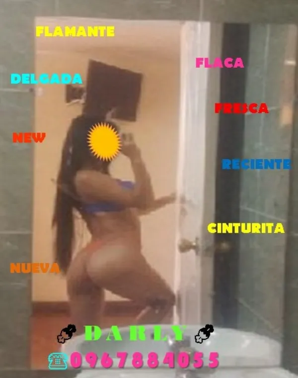 DARLY Avatar Bg