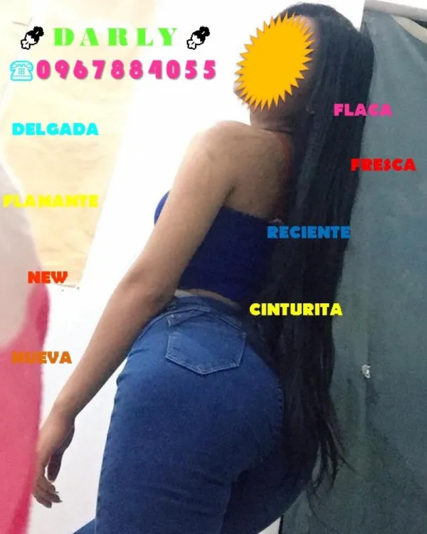 DARLY Avatar Bg
