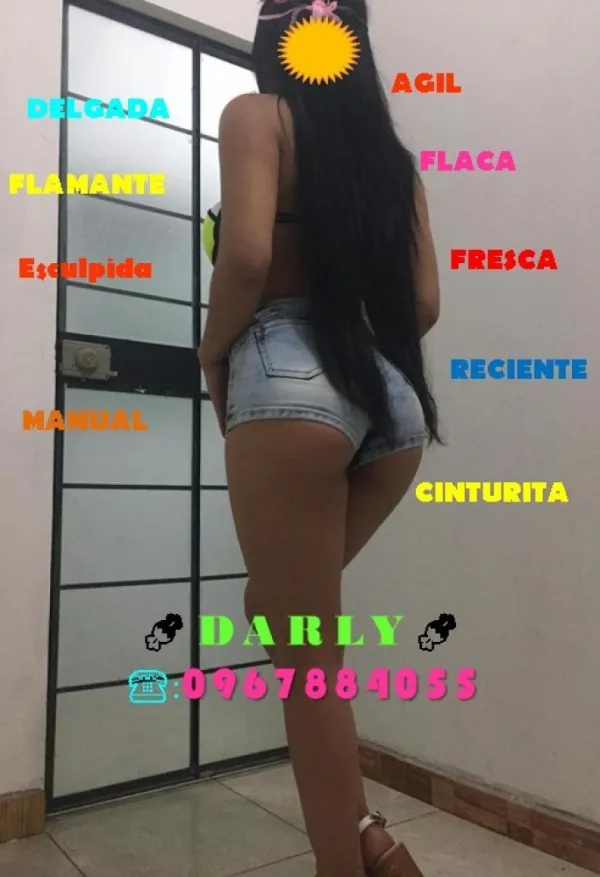 DARLY Avatar Bg