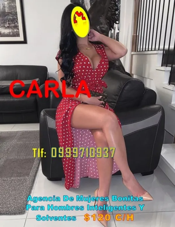 MODELOS VIP Avatar Bg