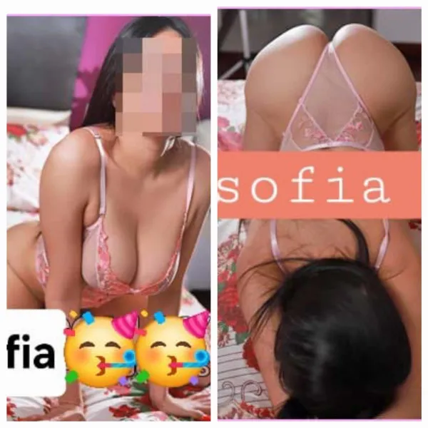 Rosa Avatar Bg