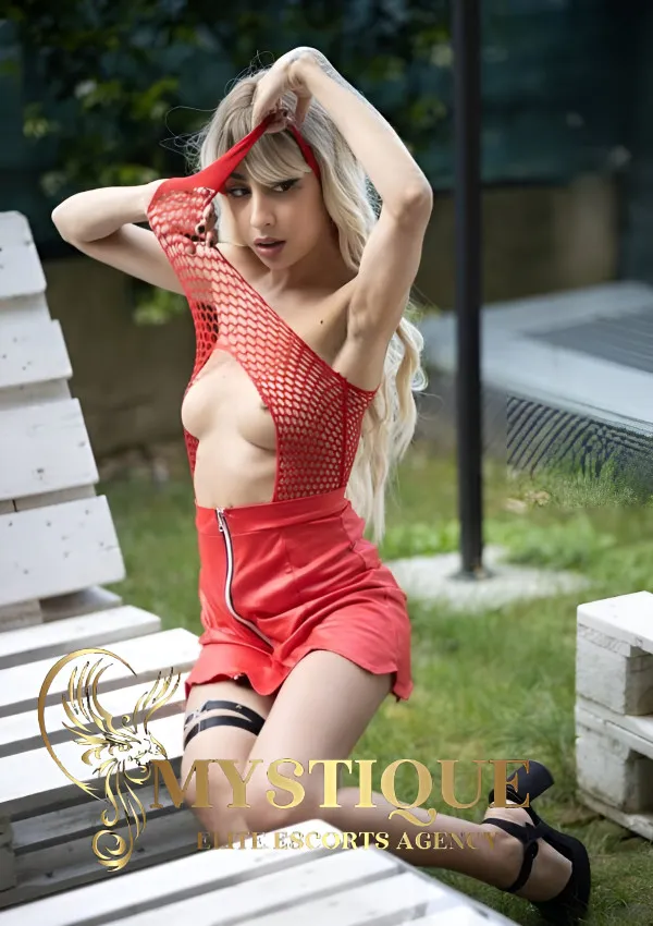 Mystique Escorts Agency Avatar Bg