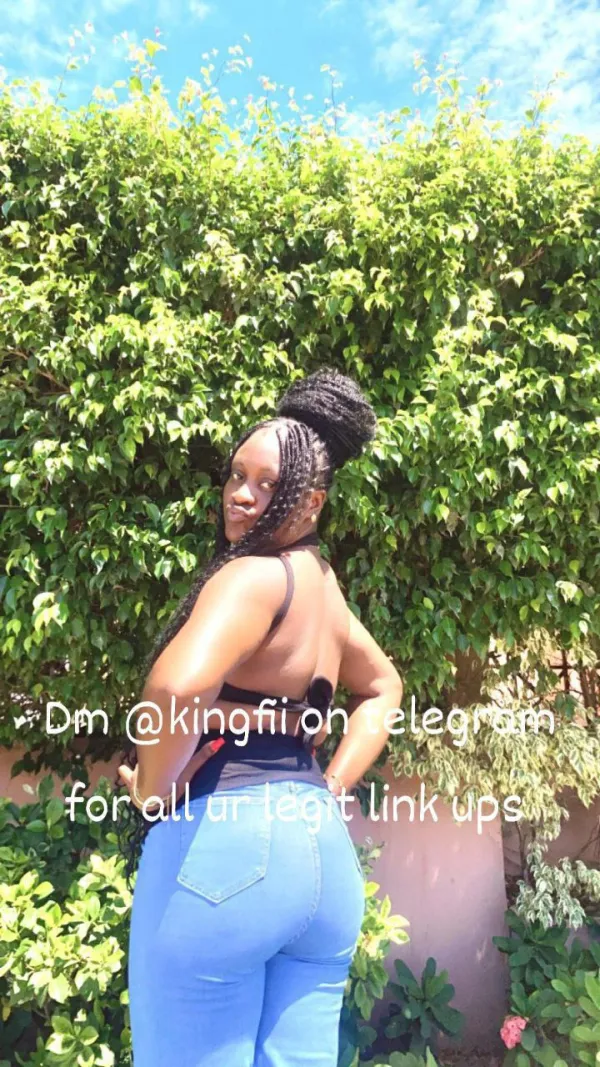 King Fii Avatar Bg