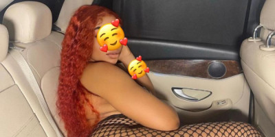 The Charming Companion Youve Been Searching For