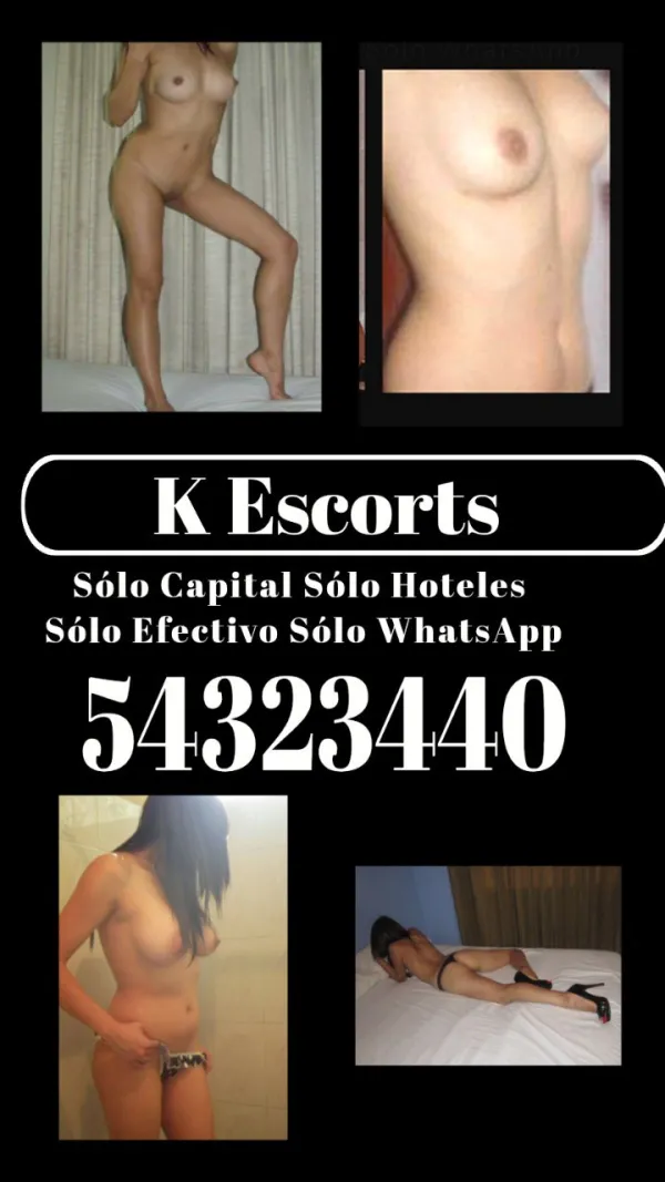 Gatas De Guate Avatar Bg
