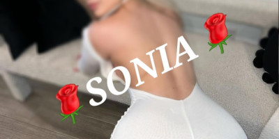 Linda chica UNIVERSITARIA-ELITE MASSEUSE ESCORT -SONIA- Serv.Discreto VIP!!!