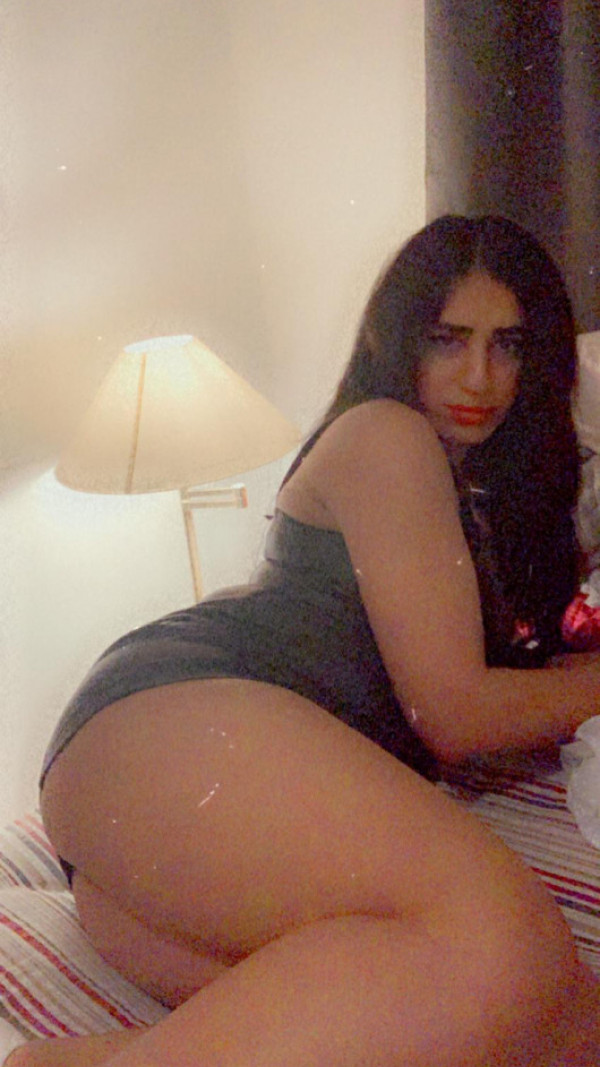 Trans Shemale Arab Xxl Iceland • 7903801 • 性爱在雷克雅未克• IS ...