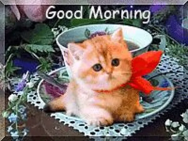 Krishmal Avatar Bg
