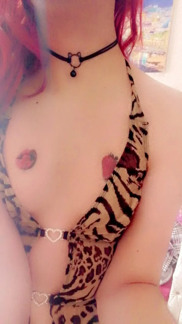 Banouti Avatar Bg
