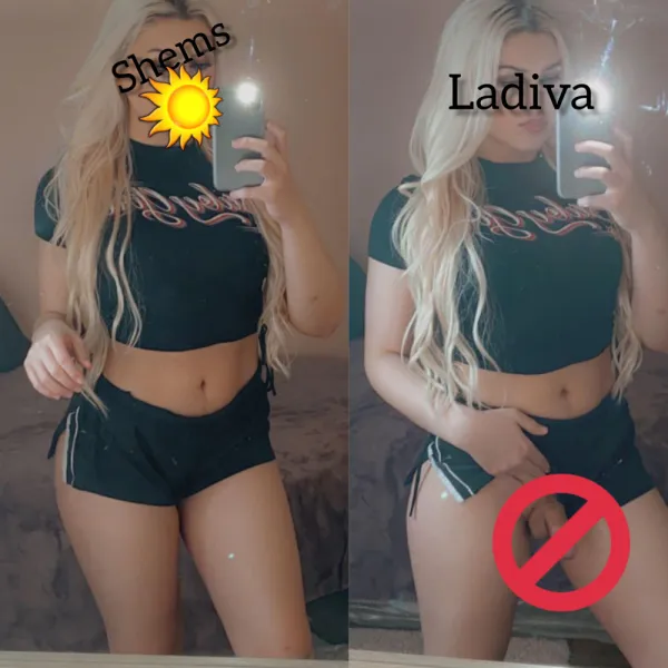 Shemale Avatar Bg