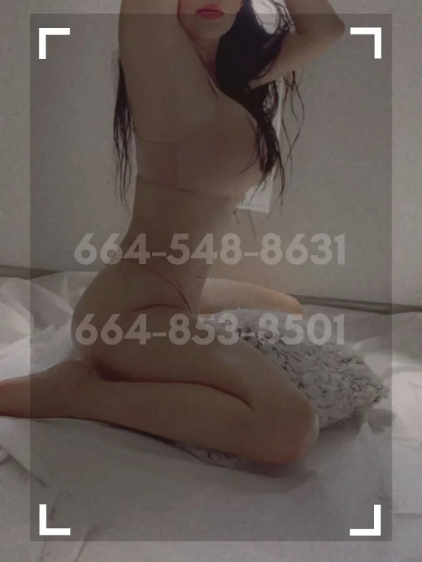Escorts En Tijuana Avatar Bg