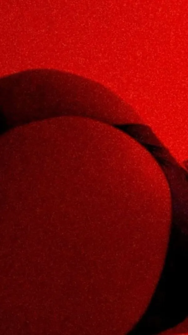 Aracelis Avatar Bg