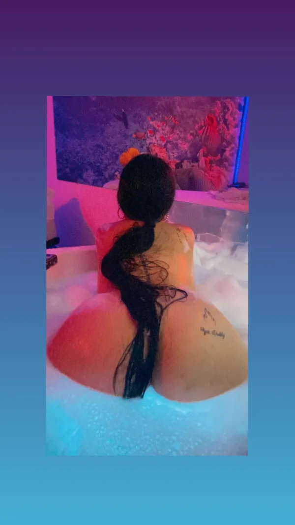 Palomita Avatar Bg