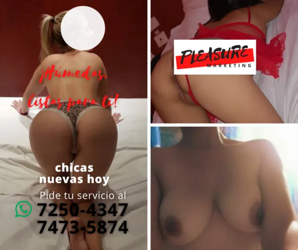 Marketing Pleasure Avatar Bg