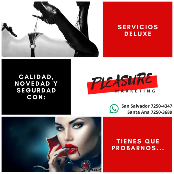 Marketing Pleasure Avatar Bg