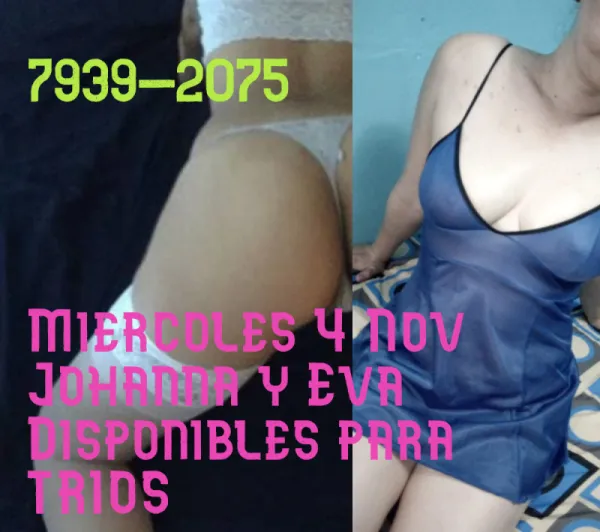 Rebeca Doll Avatar Bg