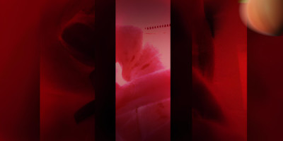 TightestLee Your Curvy Pink Temptation Wholl Make You Moan Beg and Come Again