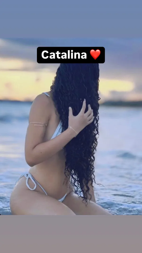 Catalina Avatar Bg