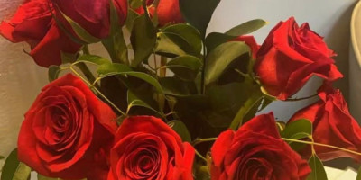 Sophisticated Companion for Refined Evenings